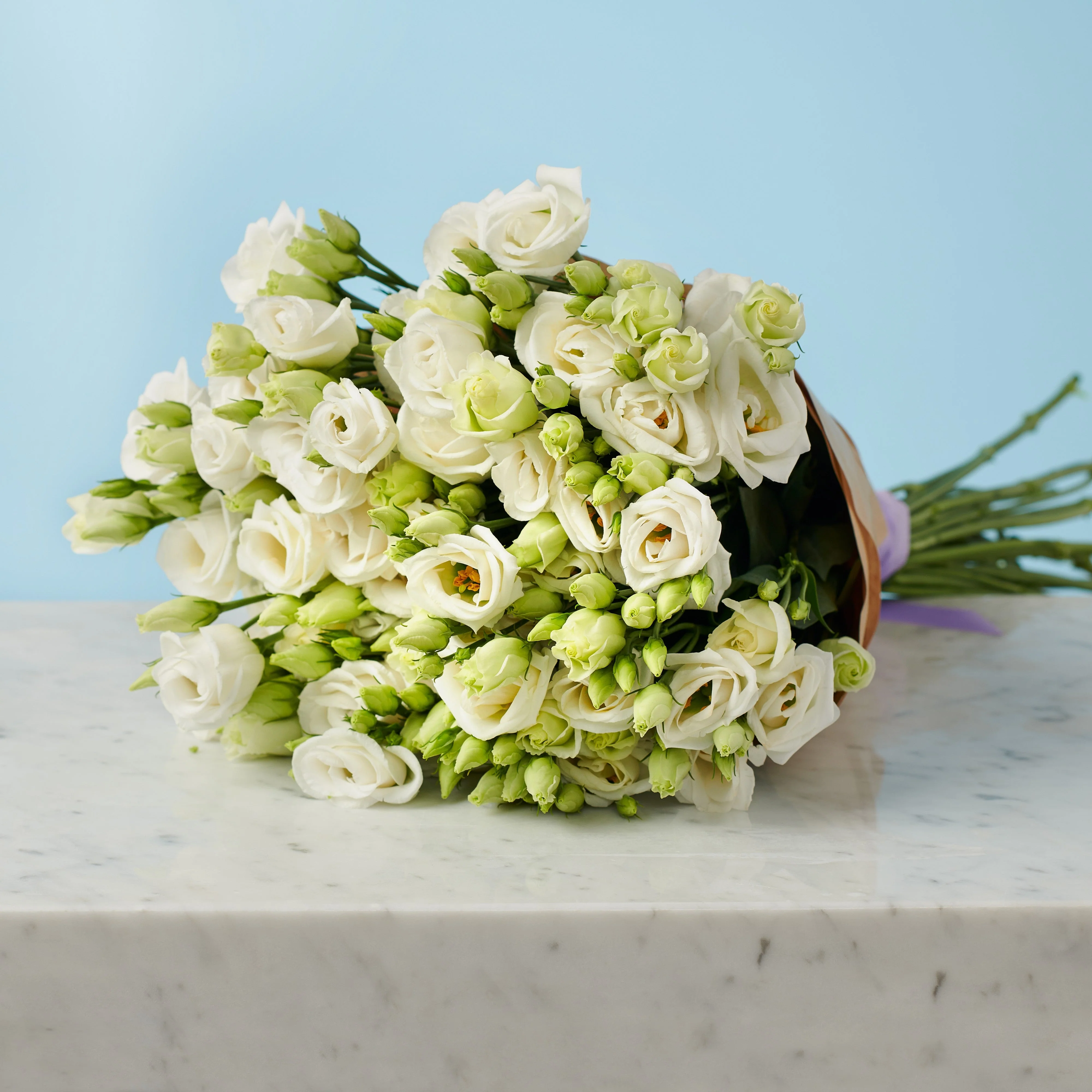 12 White Lisianthus - Image 2