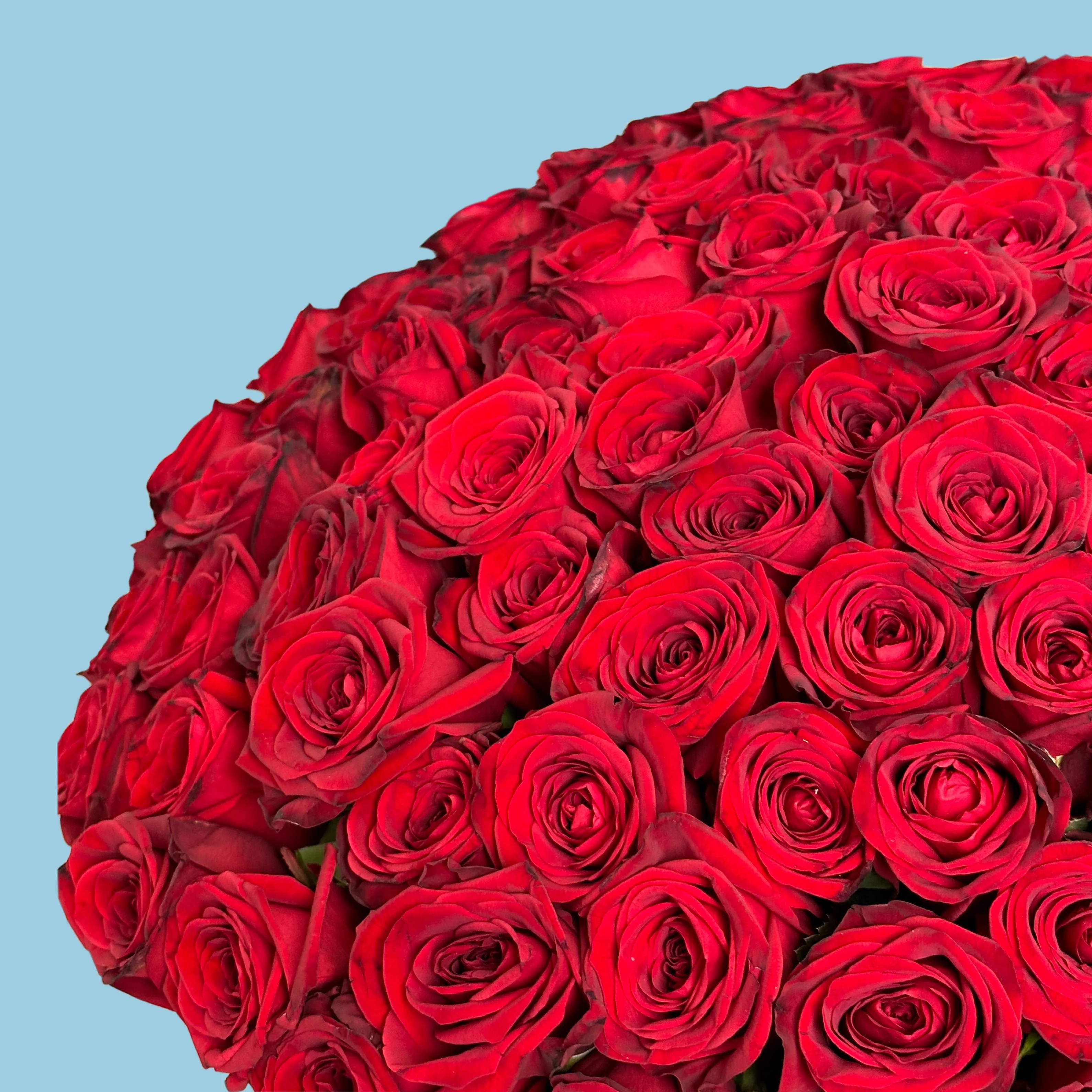 150 Red Roses Premium - Image 3
