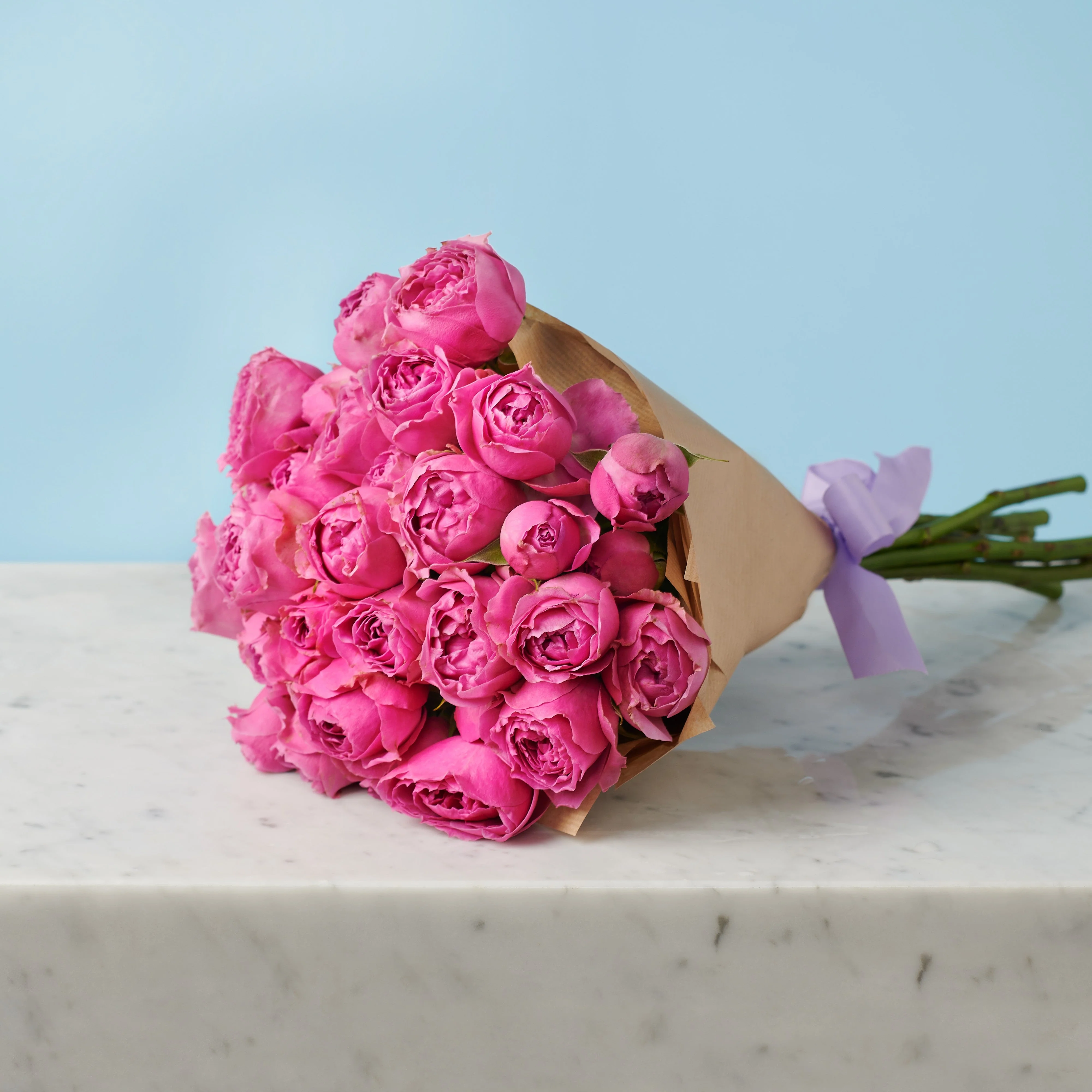 5 Peony Pink Roses - Image 4