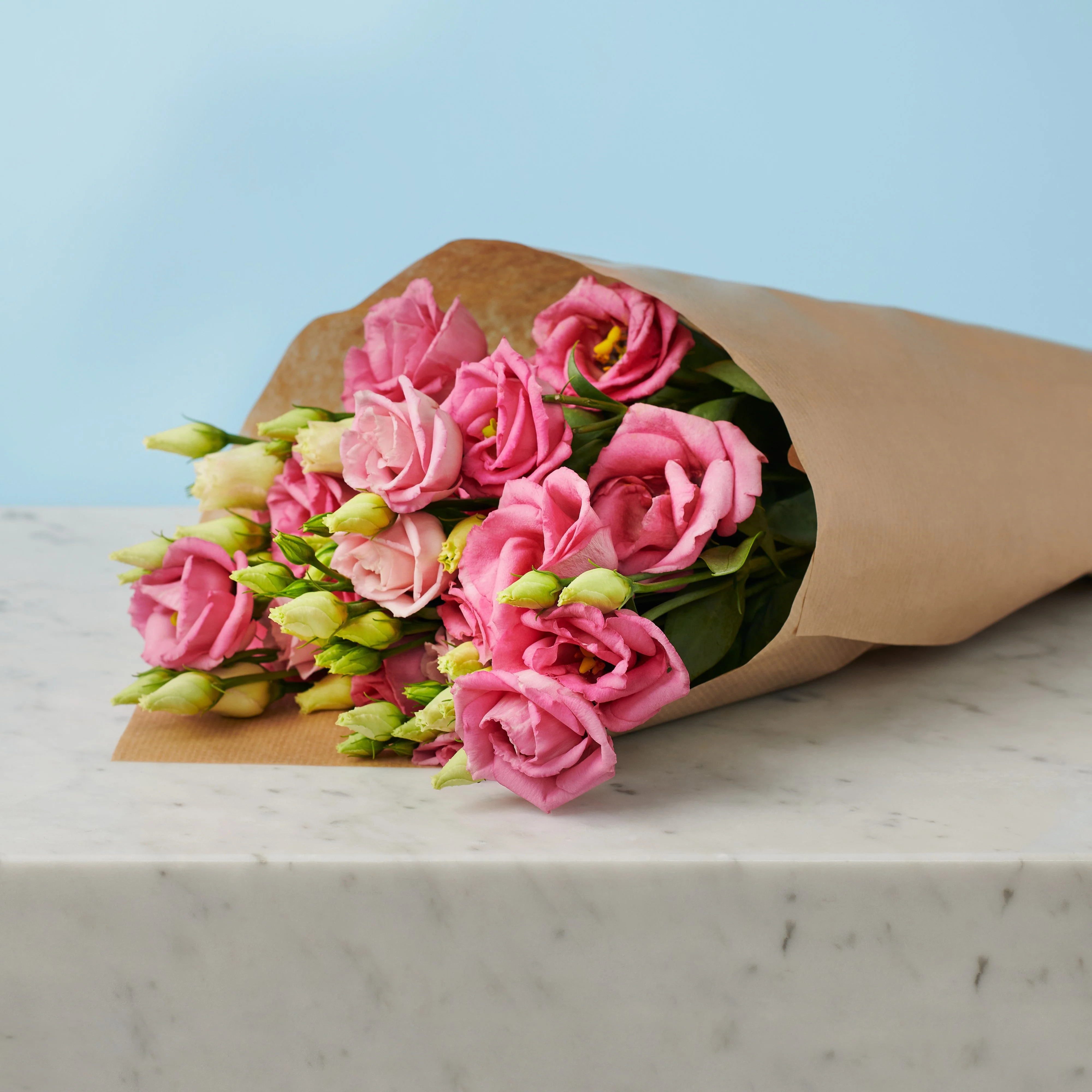5 Pink Lisianthus - Image 3