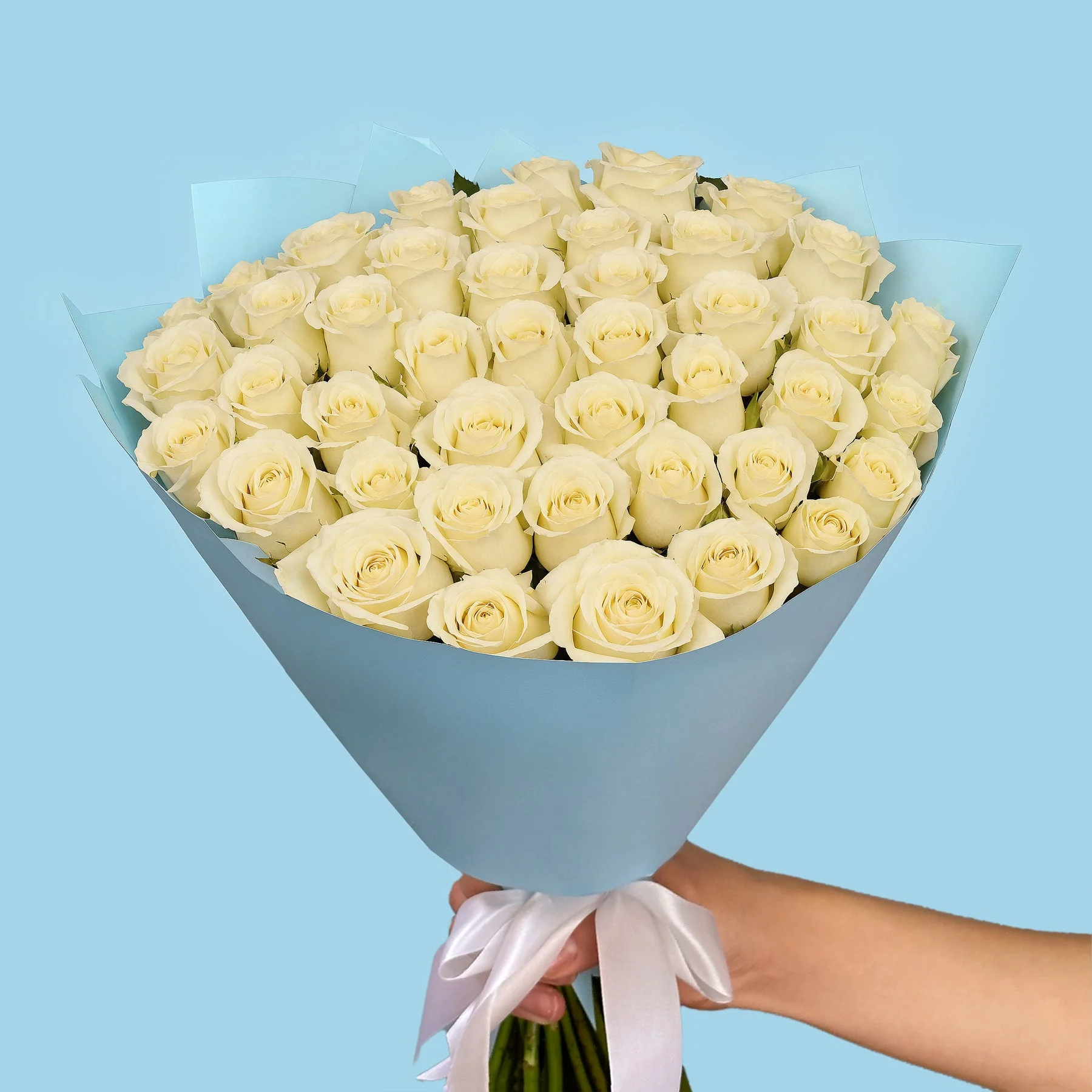 50 White Roses - Image 3