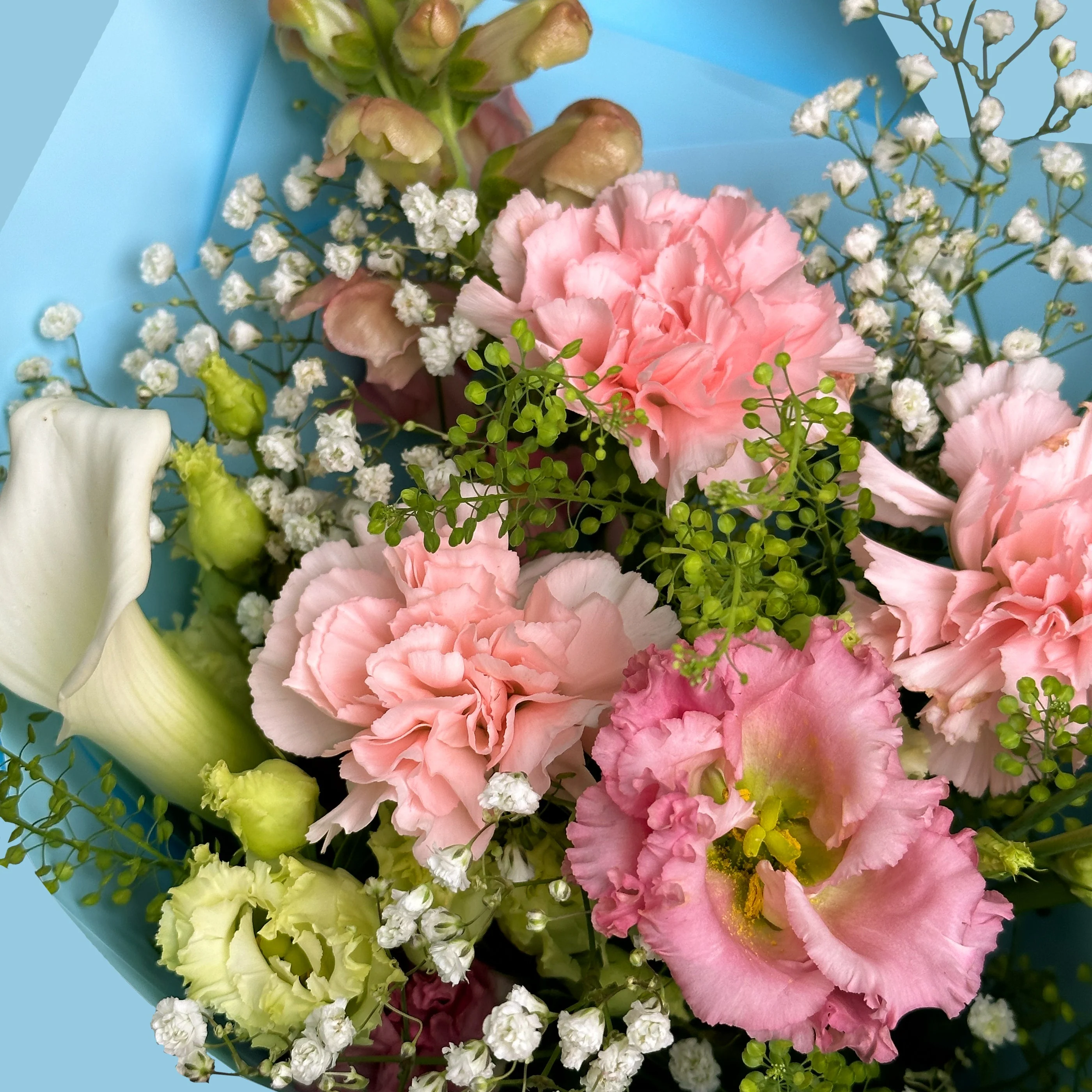 Alice In Wonderland - Image 3