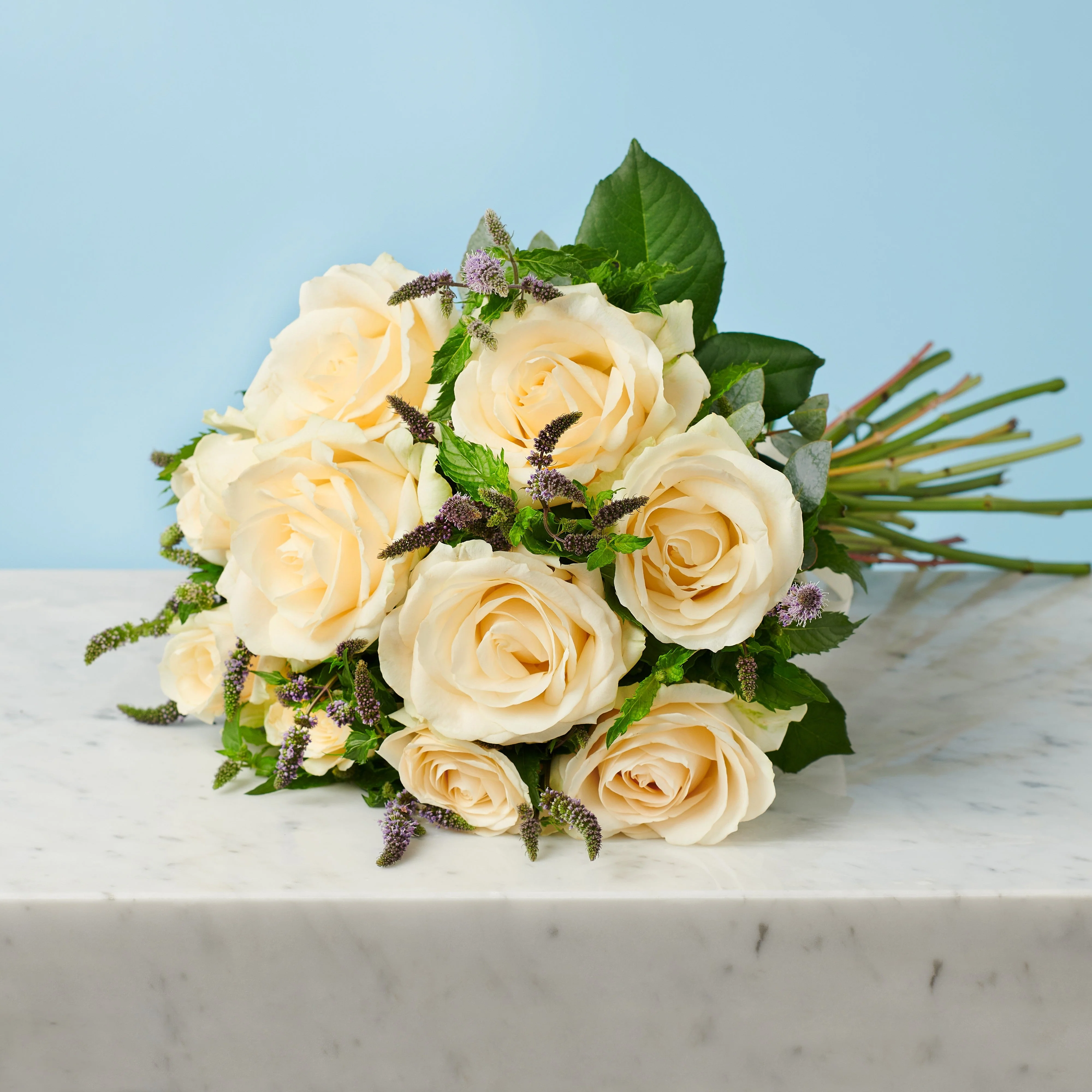 Amour - Image 4