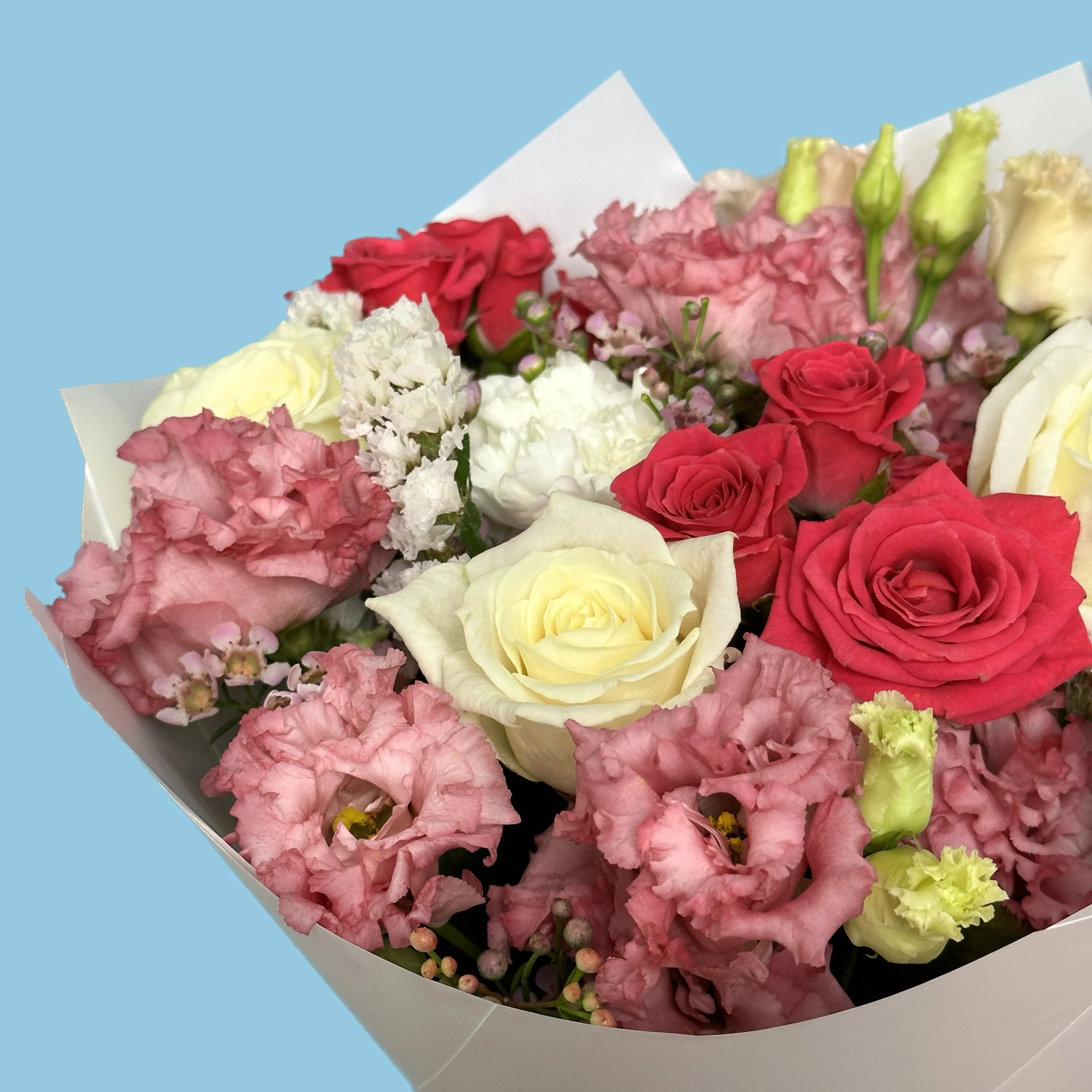 Blush - Image 3