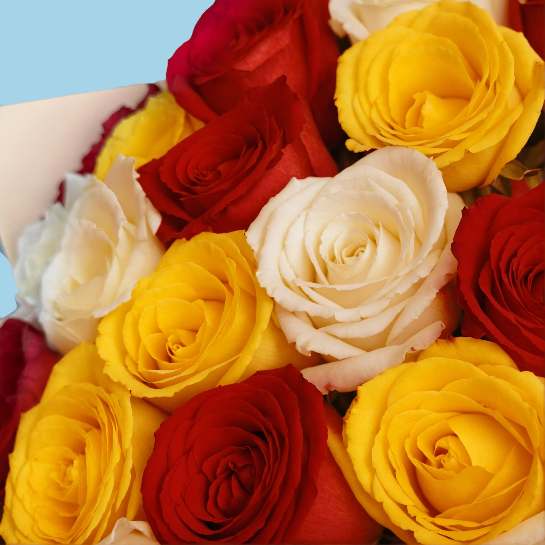 Flower Subscription - Image 17