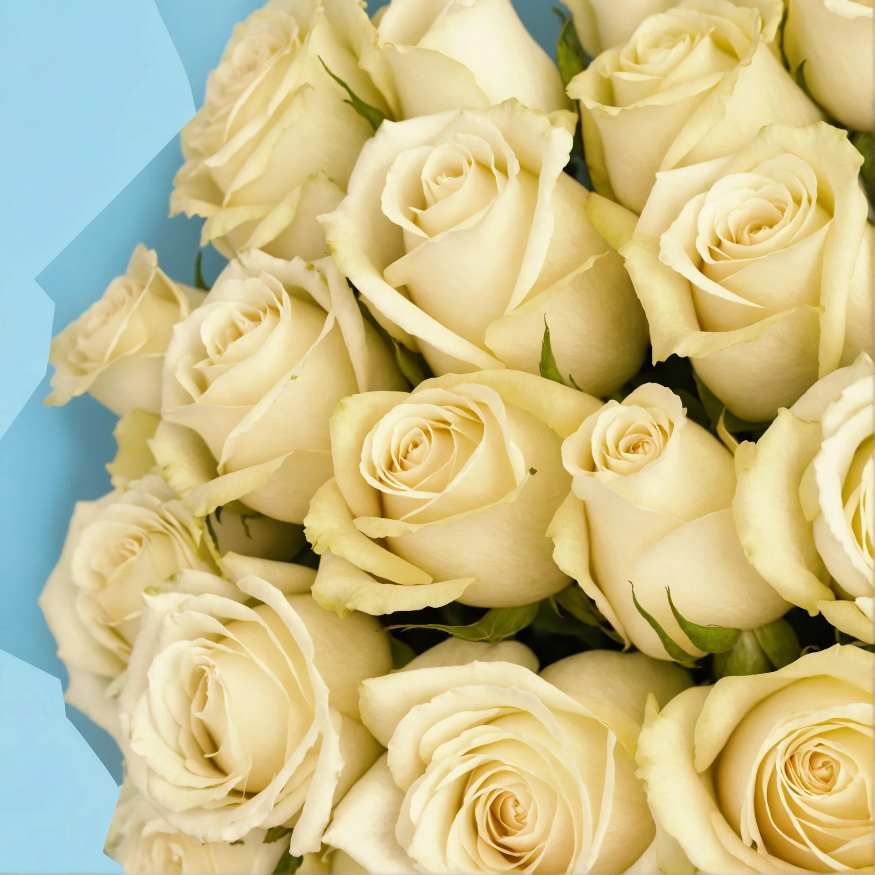 Flower Subscription - Image 29