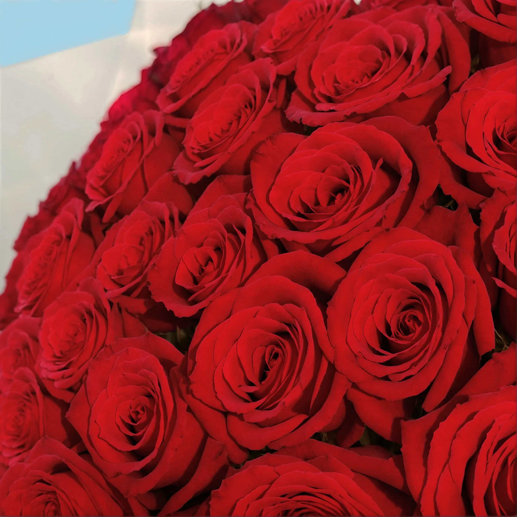 Flower Subscription - Image 38