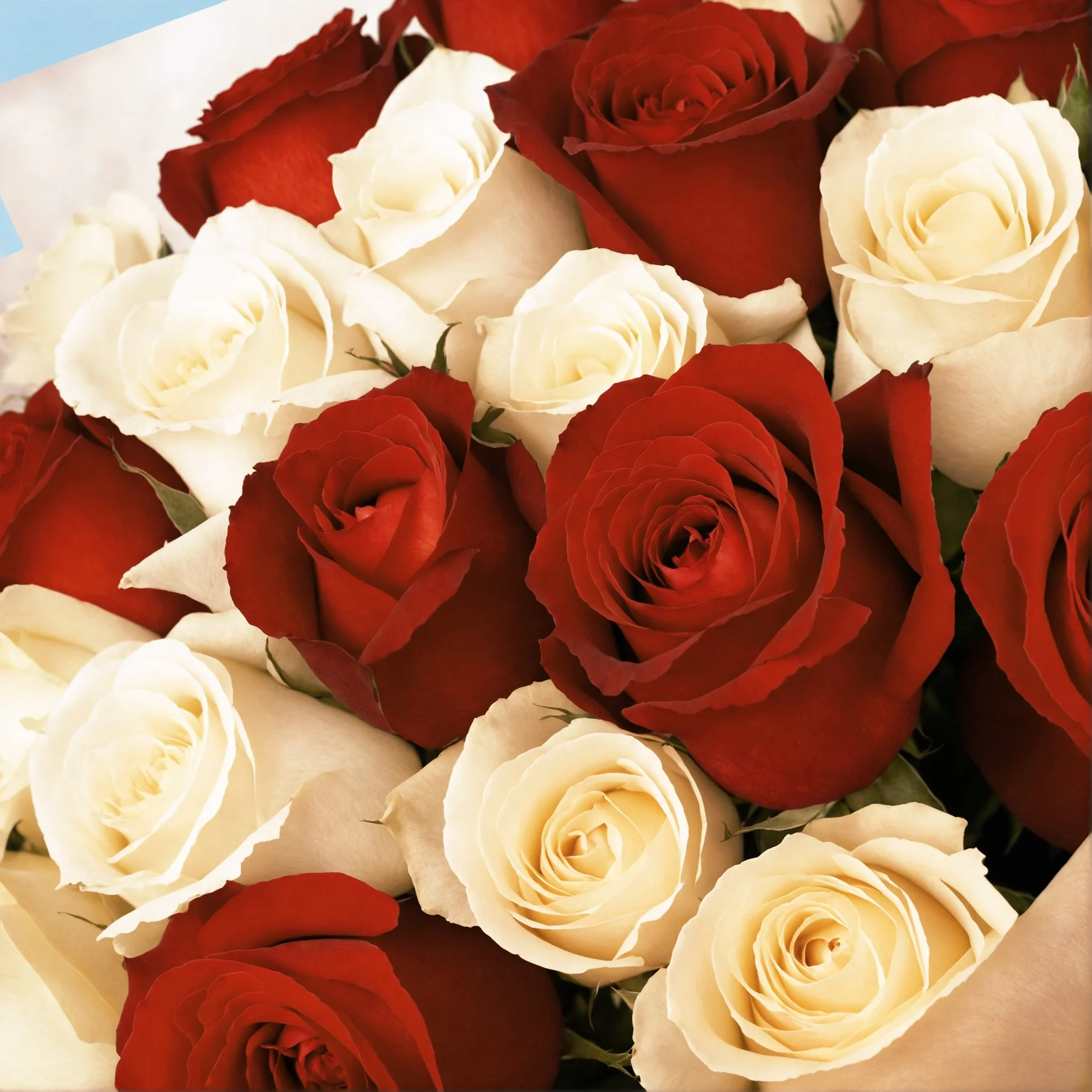 Flower Subscription - Image 13