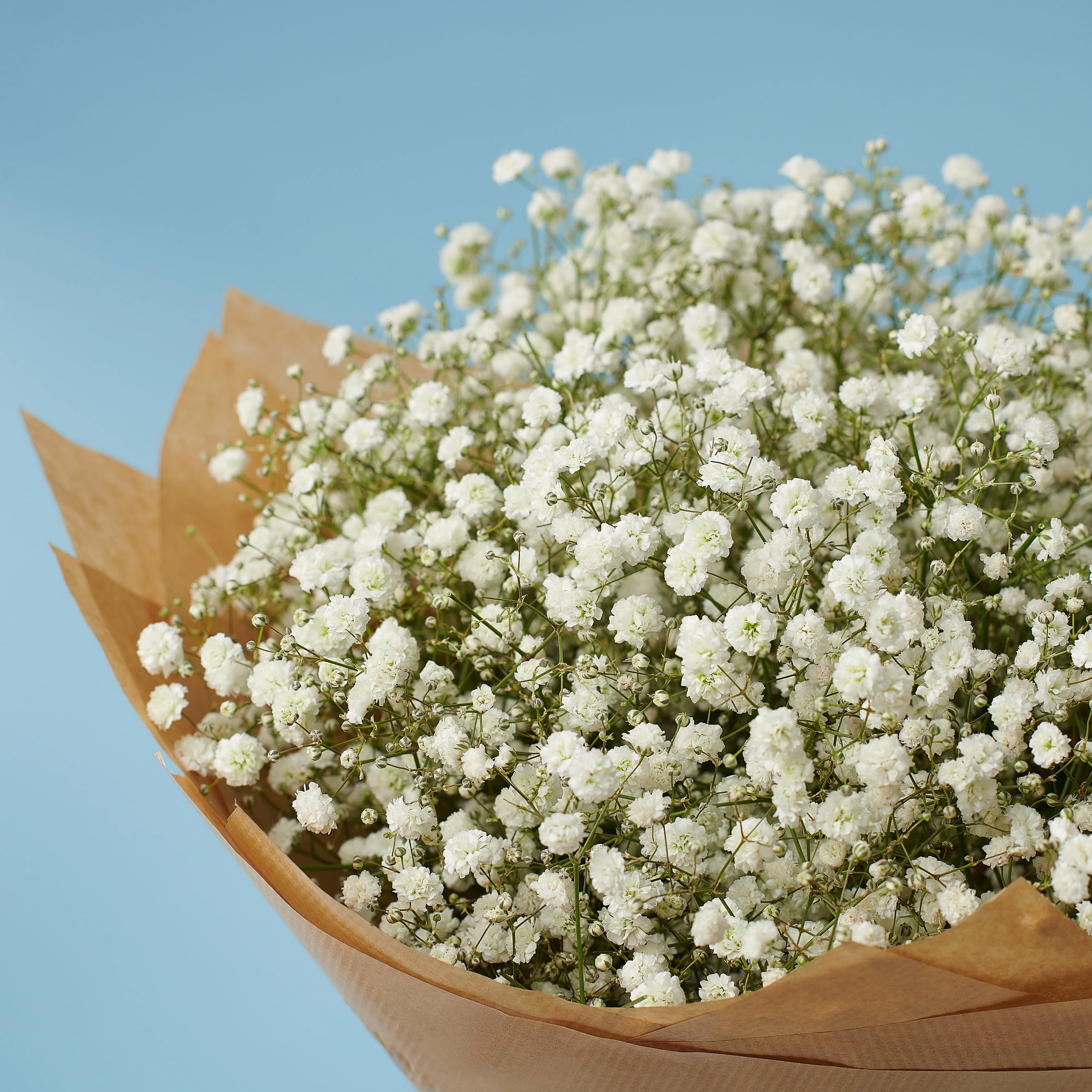 Hopeless Romantic - Image 3