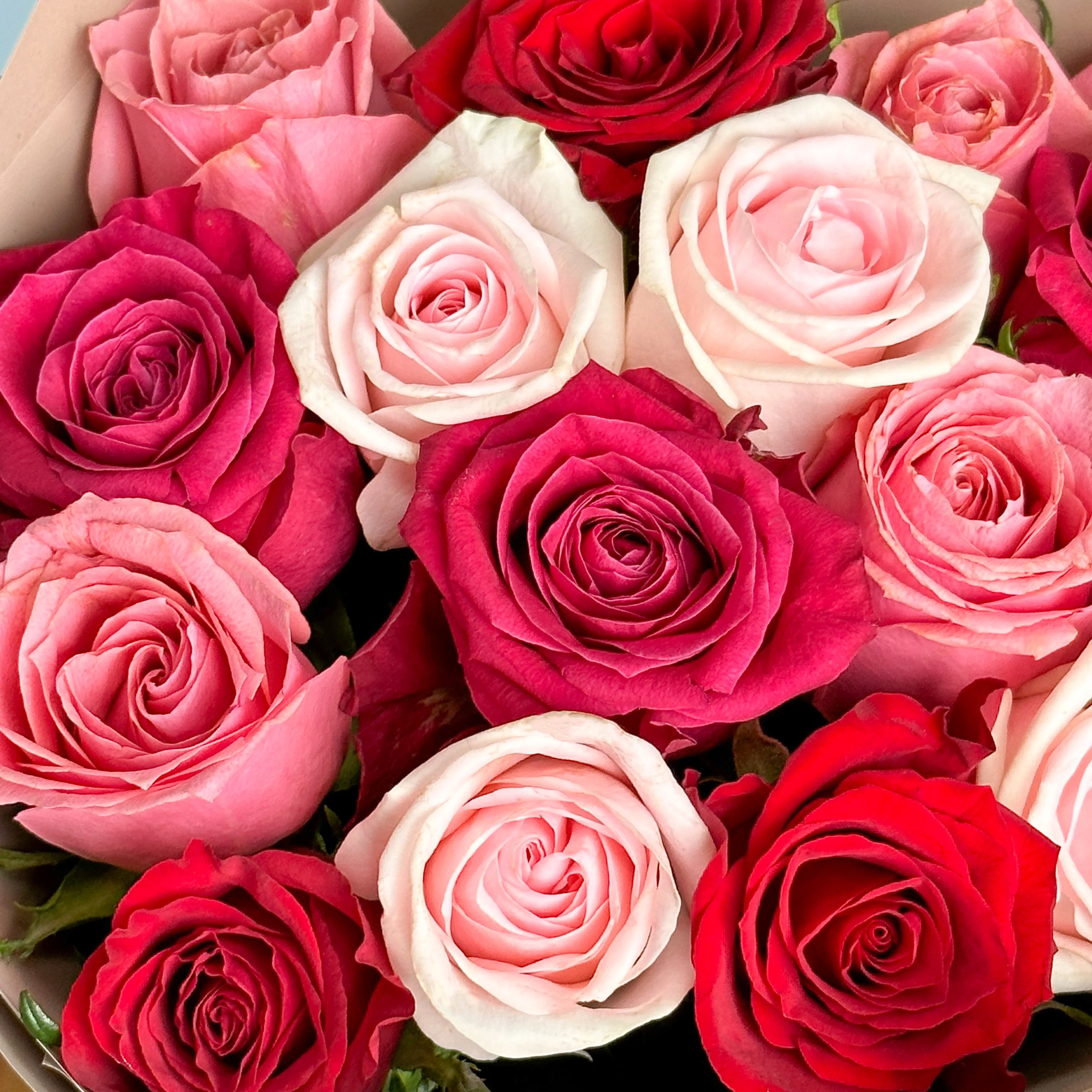 Passion Roses Mix - Image 3