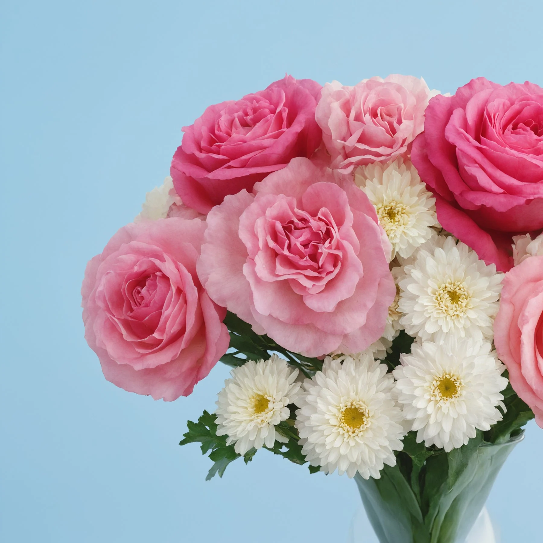 Pink Box - Image 3
