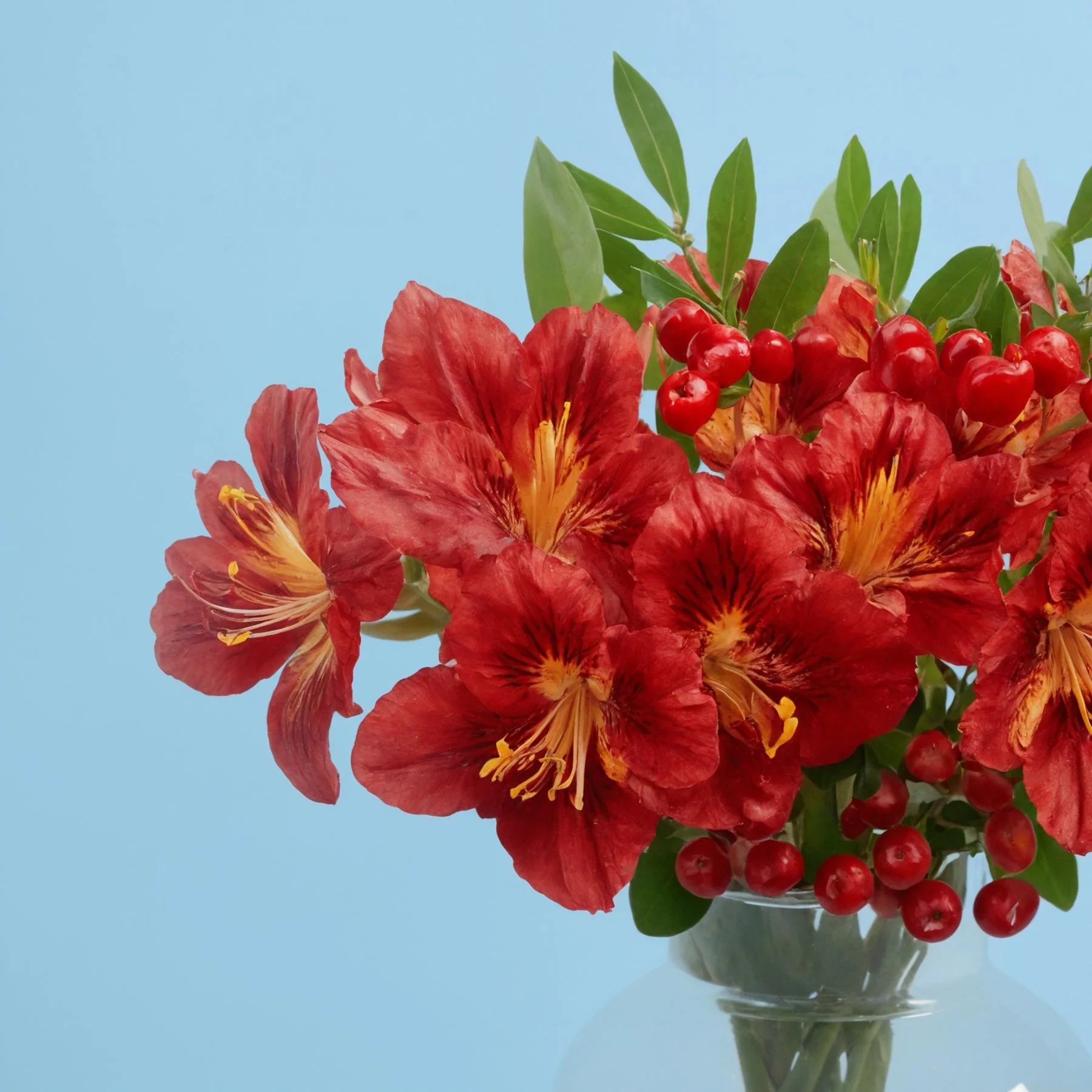 Red Composition - Image 3