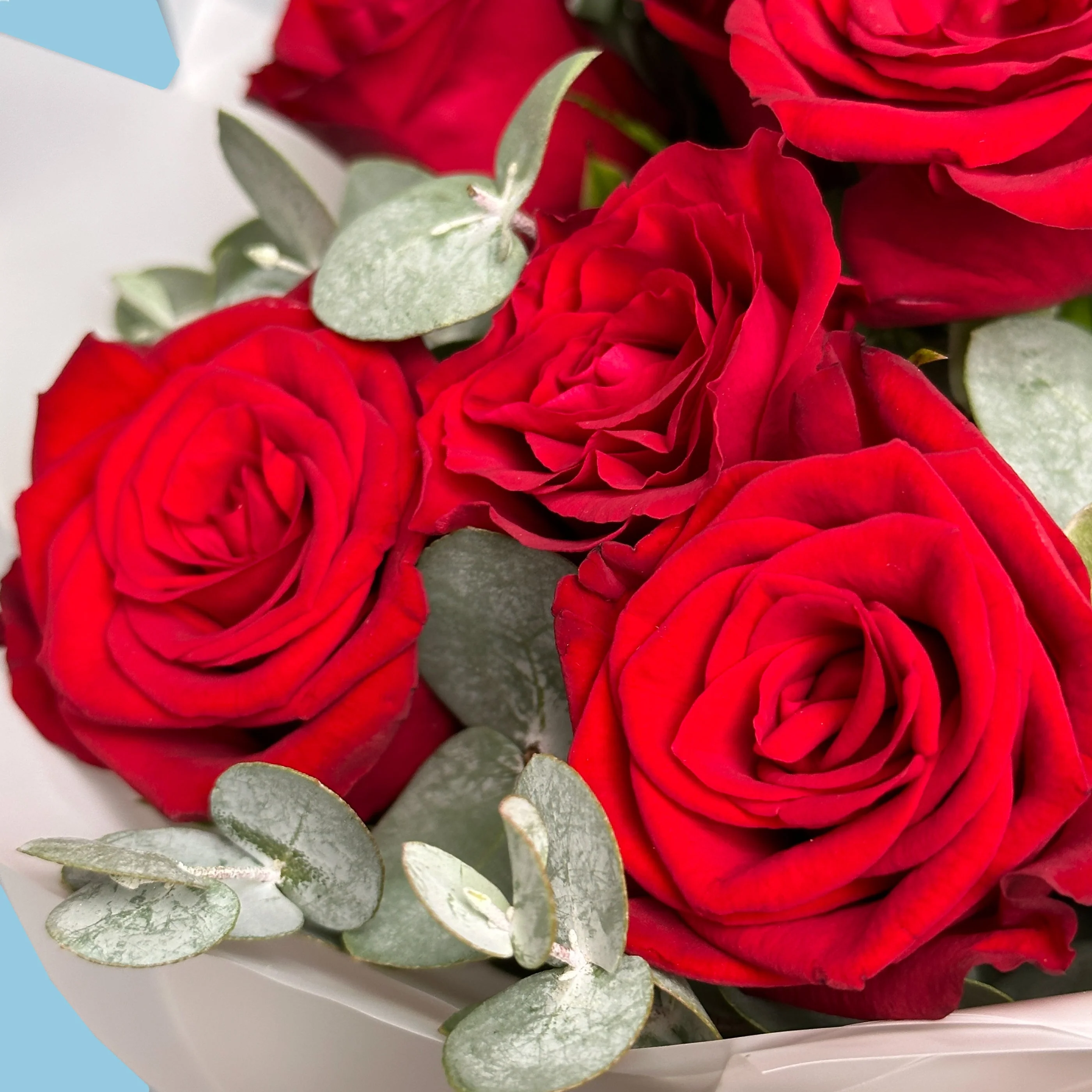 Red Roses With Eucaliptus - Image 3