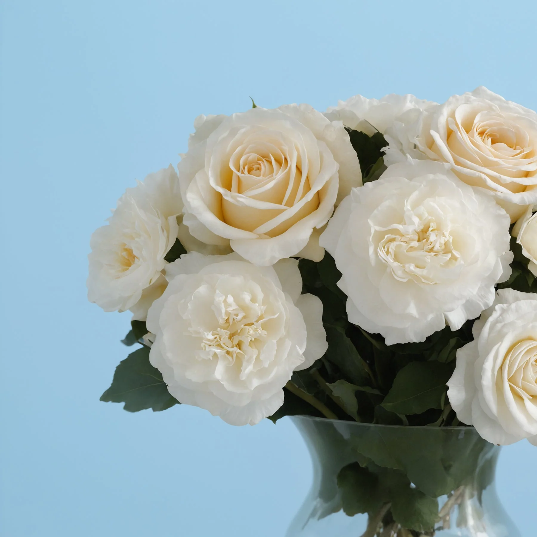 Simple White - Image 3
