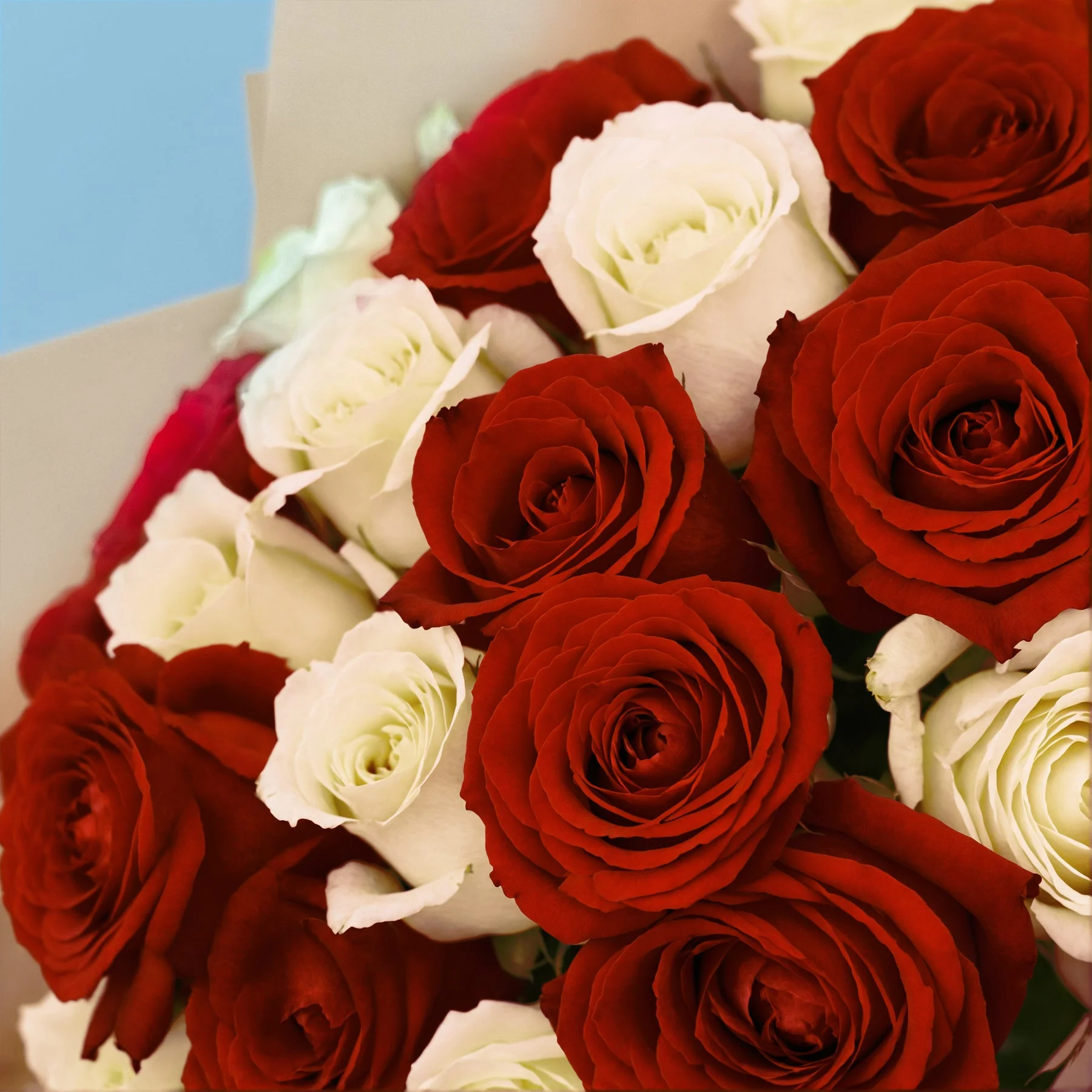 Flower Subscription - Image 43