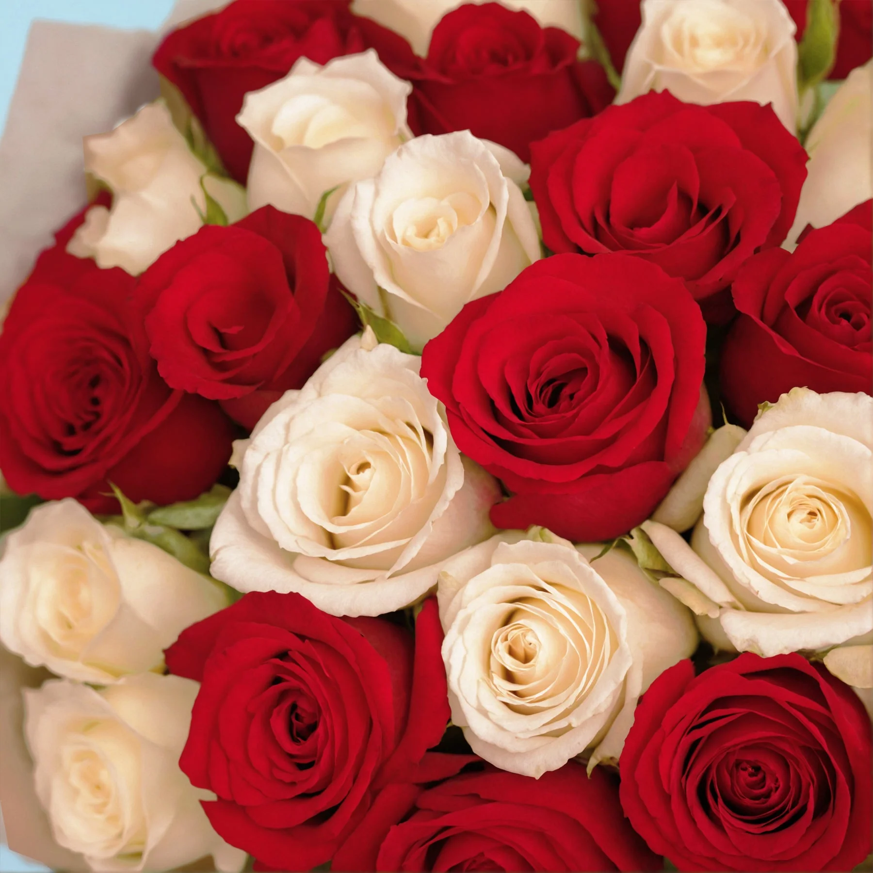 Flower Subscription - Image 55