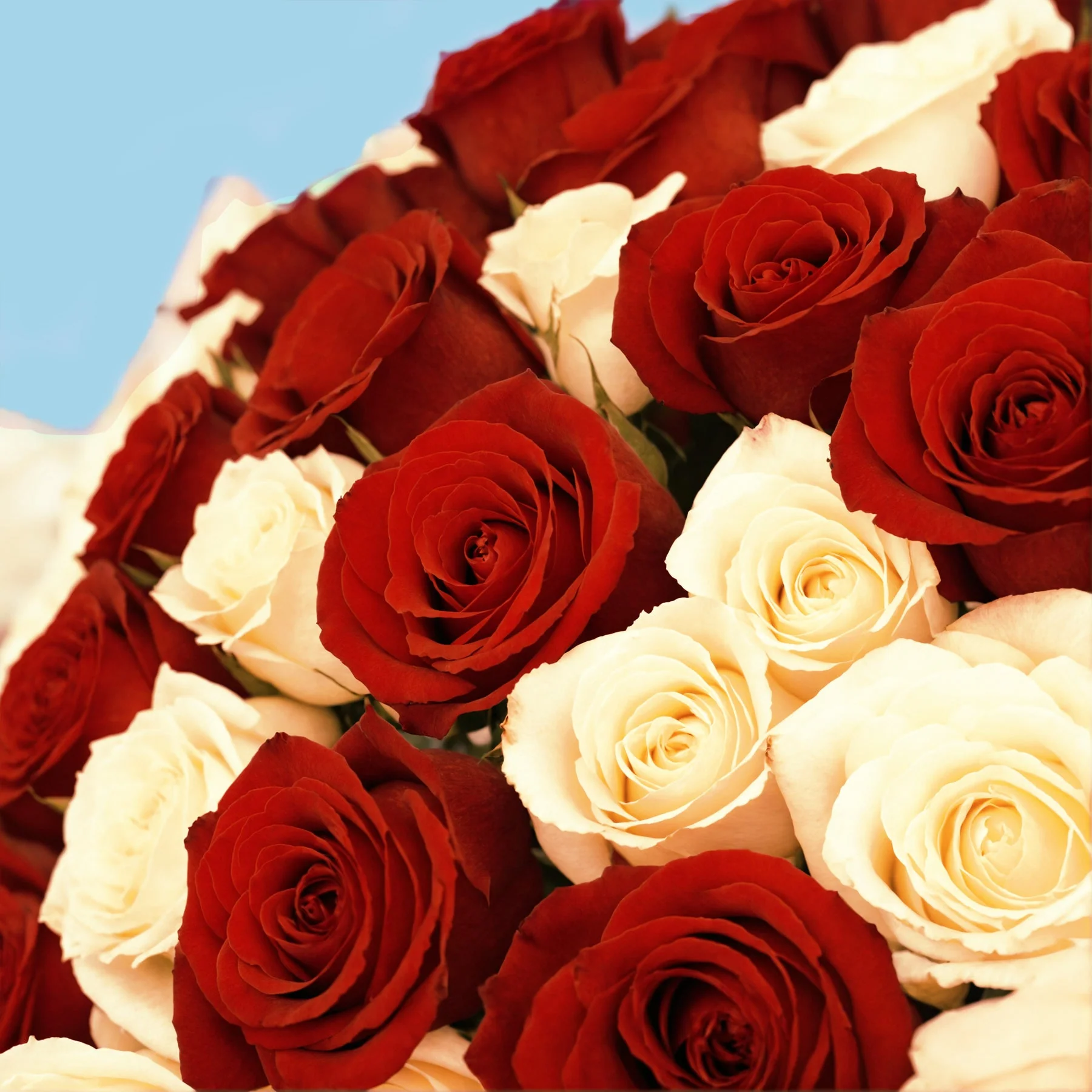Flower Subscription - Image 56