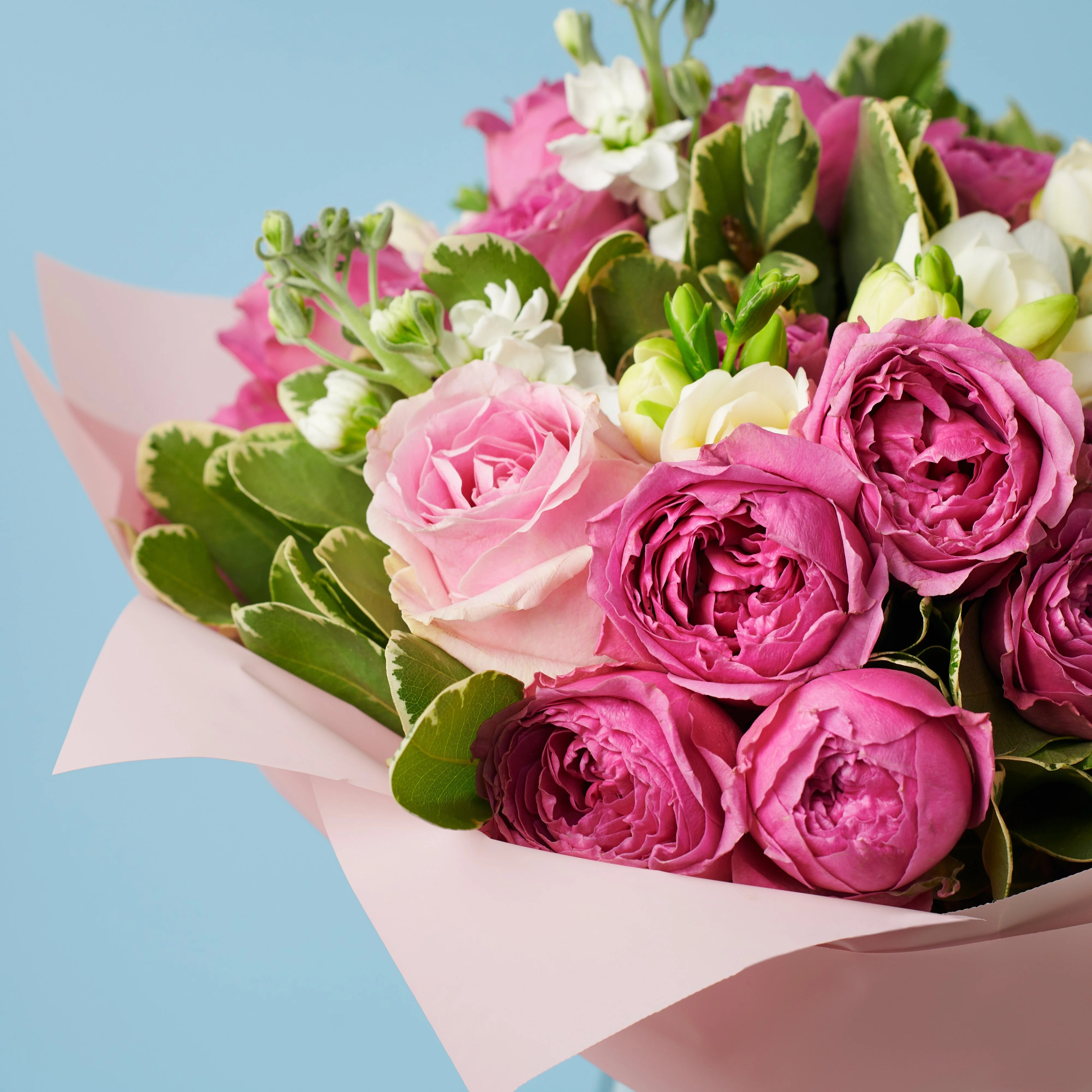 Sweetheart - Image 3