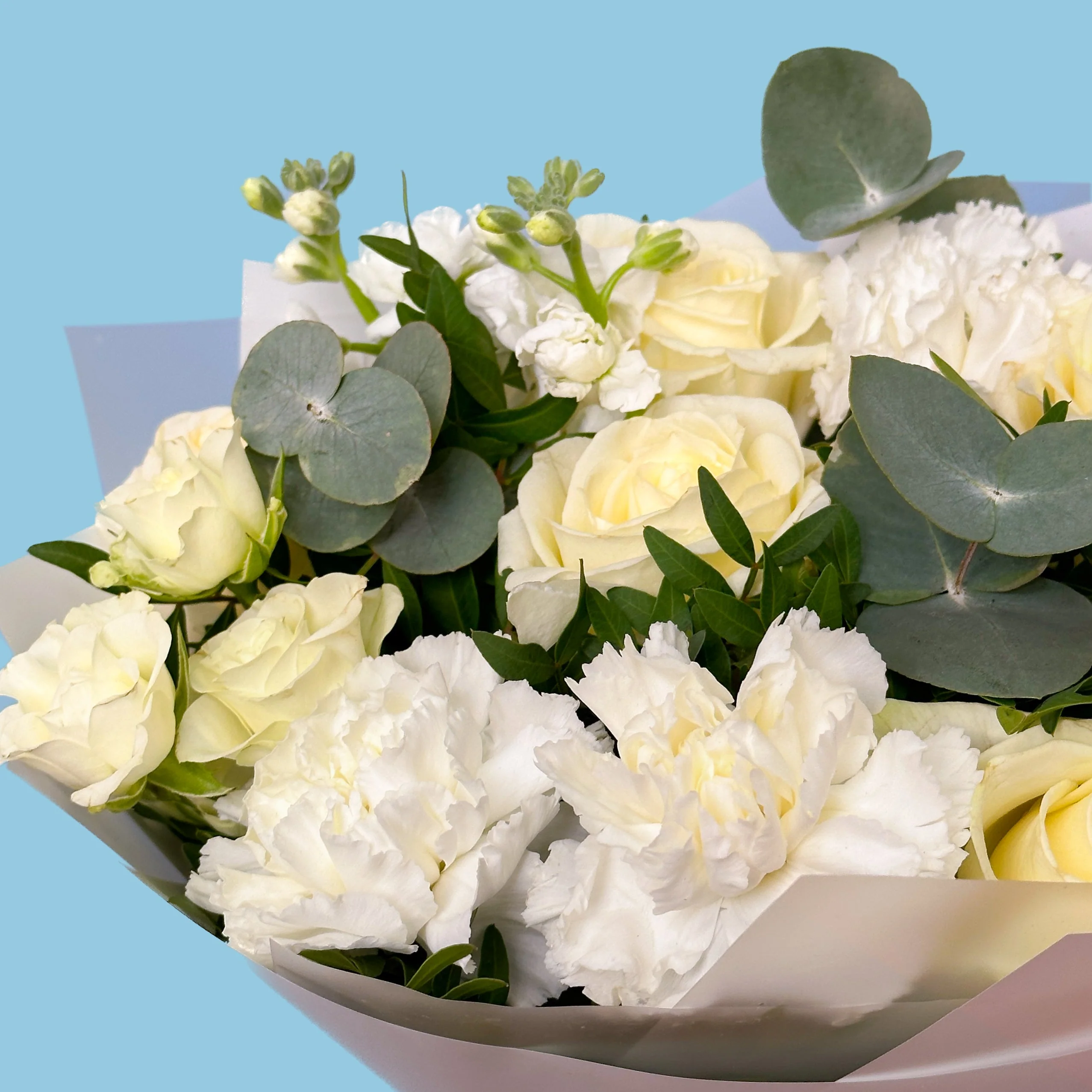 White Miracle - Image 3