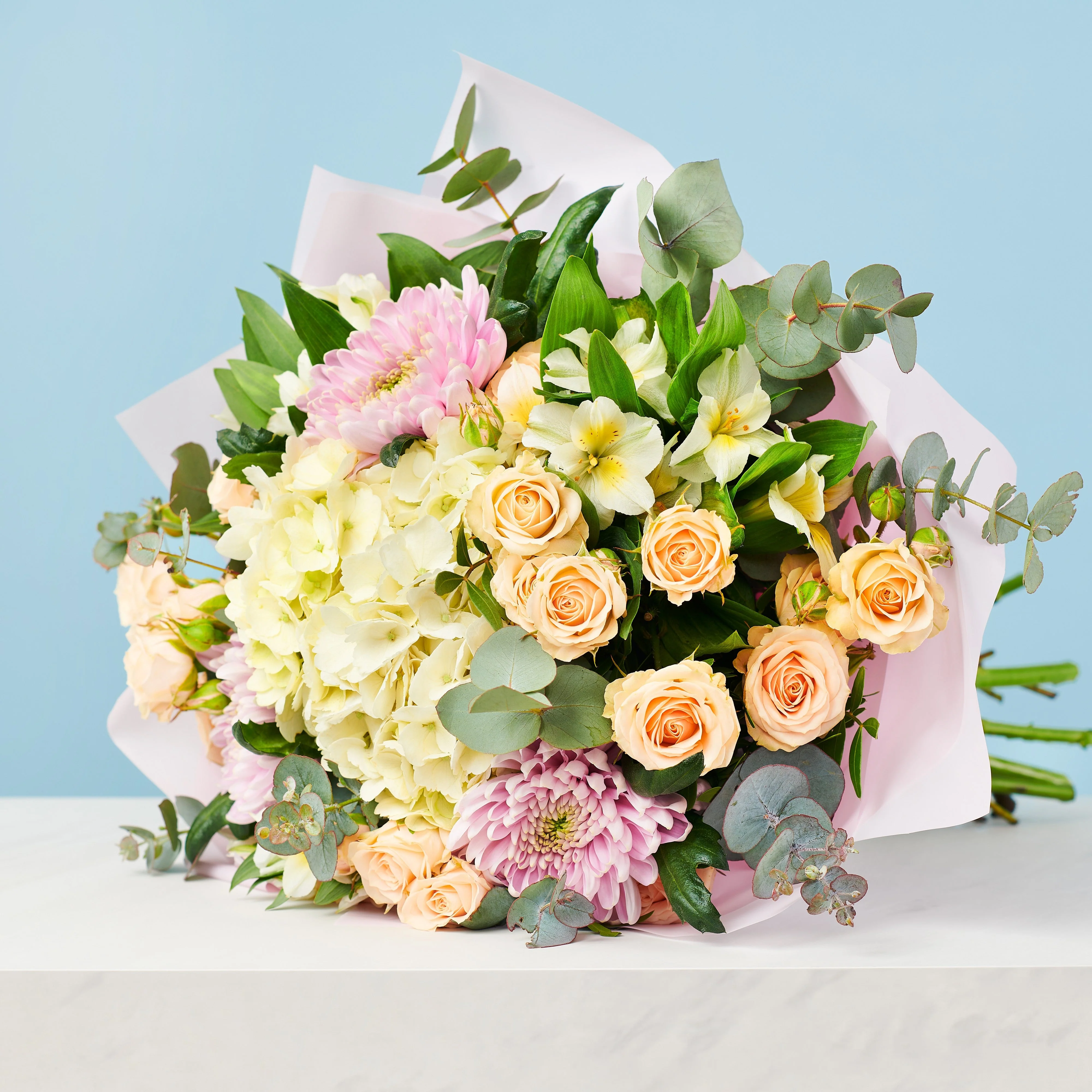 White Wonders - Image 4